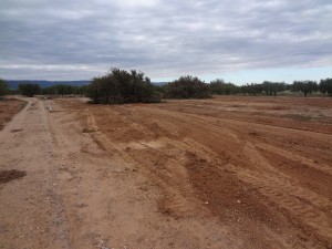 Preparatius d'un nou laberint molt gran