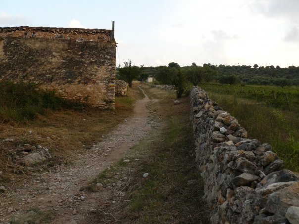 fondodelmapa01.jpg