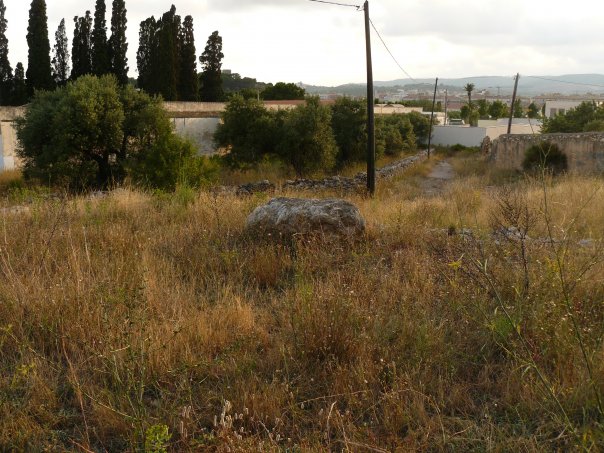 fondodelmata02.jpg