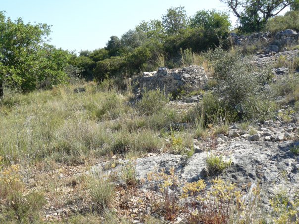 fondodelmata04.jpg